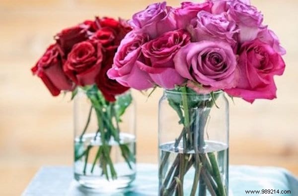 13 Proven Ways to Use White Vinegar for a Spotless, Budget-Friendly Home