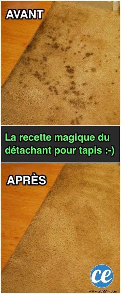 Proven Natural Carpet Stain Remover: My Easy Homemade Recipe That Actually Works