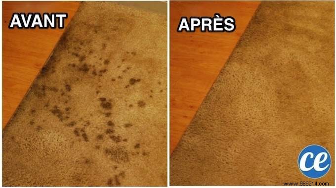 Proven Natural Carpet Stain Remover: My Easy Homemade Recipe That Actually Works