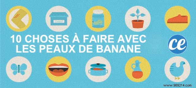 10 Proven Ways to Reuse Banana Peels: Transform Waste into Garden Gold and Household Hacks