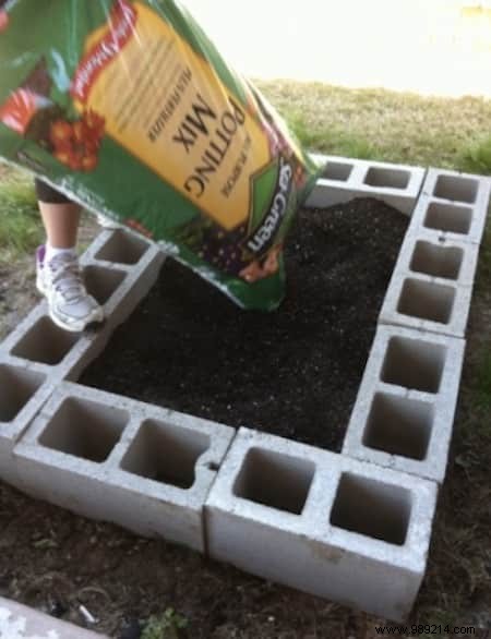 Build a Simple, Affordable Raised Vegetable Garden with Cinder Blocks: Our Proven Family Method