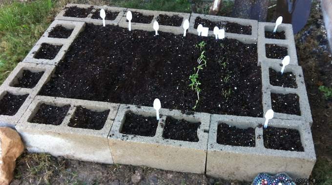 Build a Simple, Affordable Raised Vegetable Garden with Cinder Blocks: Our Proven Family Method