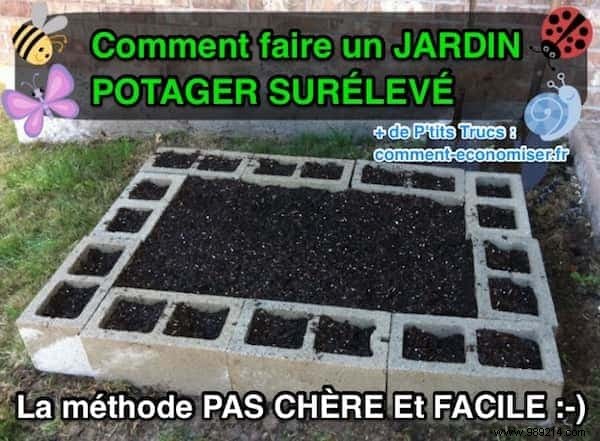 Build a Simple, Affordable Raised Vegetable Garden with Cinder Blocks: Our Proven Family Method