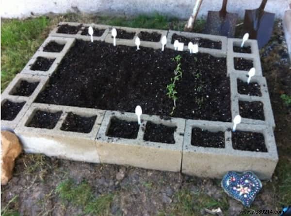 Build a Simple, Affordable Raised Vegetable Garden with Cinder Blocks: Our Proven Family Method