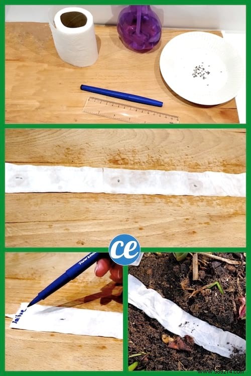 DIY Seed Tape: Make Perfect Seed Ribbons with Toilet Paper