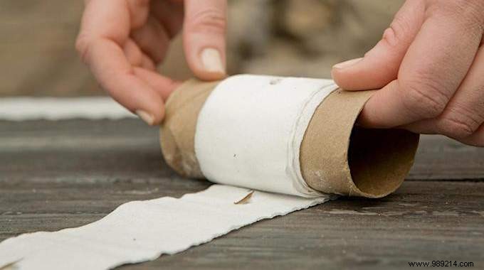 DIY Seed Tape: Make Perfect Seed Ribbons with Toilet Paper