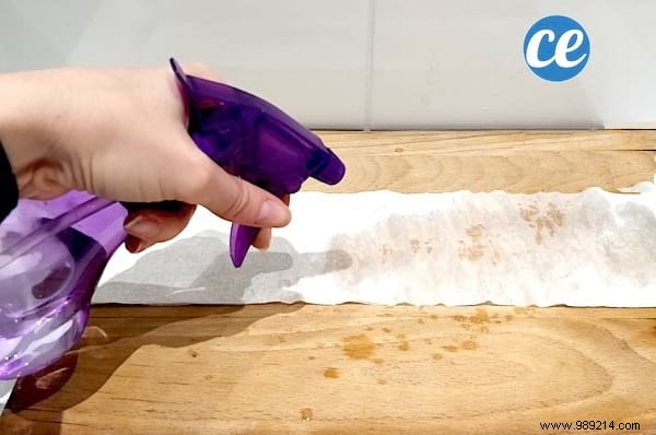 DIY Seed Tape: Make Perfect Seed Ribbons with Toilet Paper