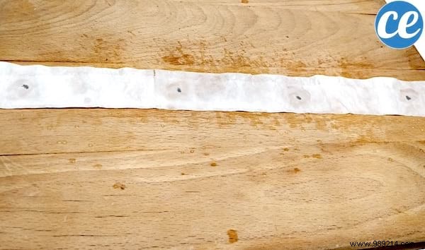 DIY Seed Tape: Make Perfect Seed Ribbons with Toilet Paper