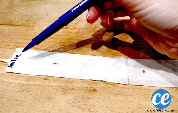 DIY Seed Tape: Make Perfect Seed Ribbons with Toilet Paper