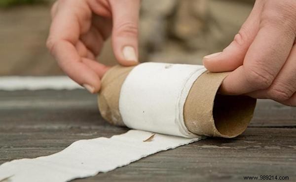 DIY Seed Tape: Make Perfect Seed Ribbons with Toilet Paper