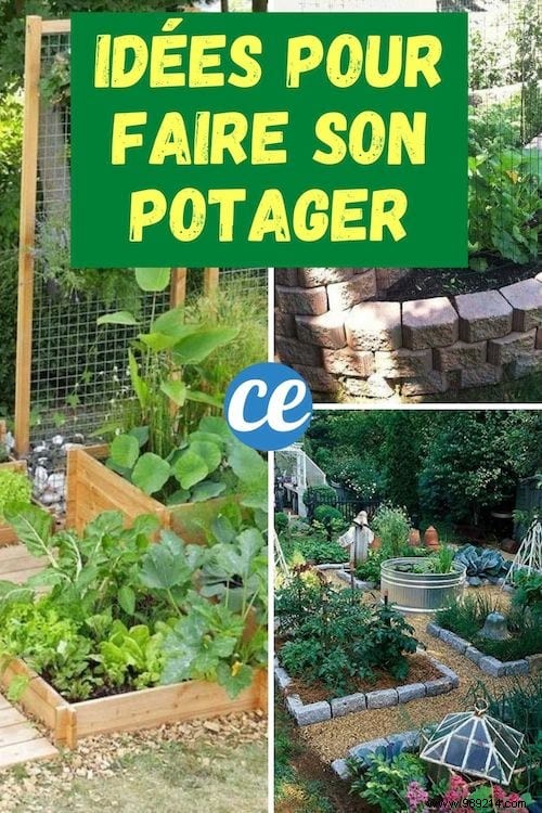 23 Proven Space-Saving Tips for Your First Successful Vegetable Garden