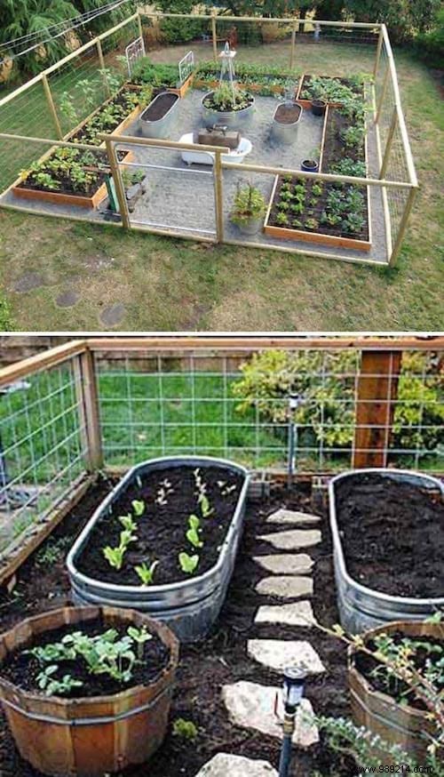 23 Proven Space-Saving Tips for Your First Successful Vegetable Garden