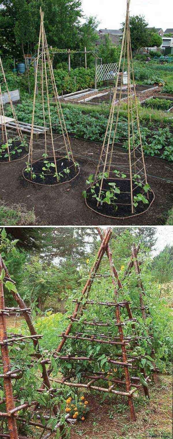 23 Proven Space-Saving Tips for Your First Successful Vegetable Garden