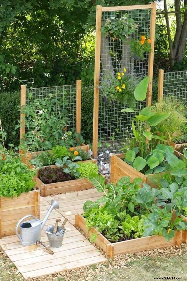 23 Proven Space-Saving Tips for Your First Successful Vegetable Garden