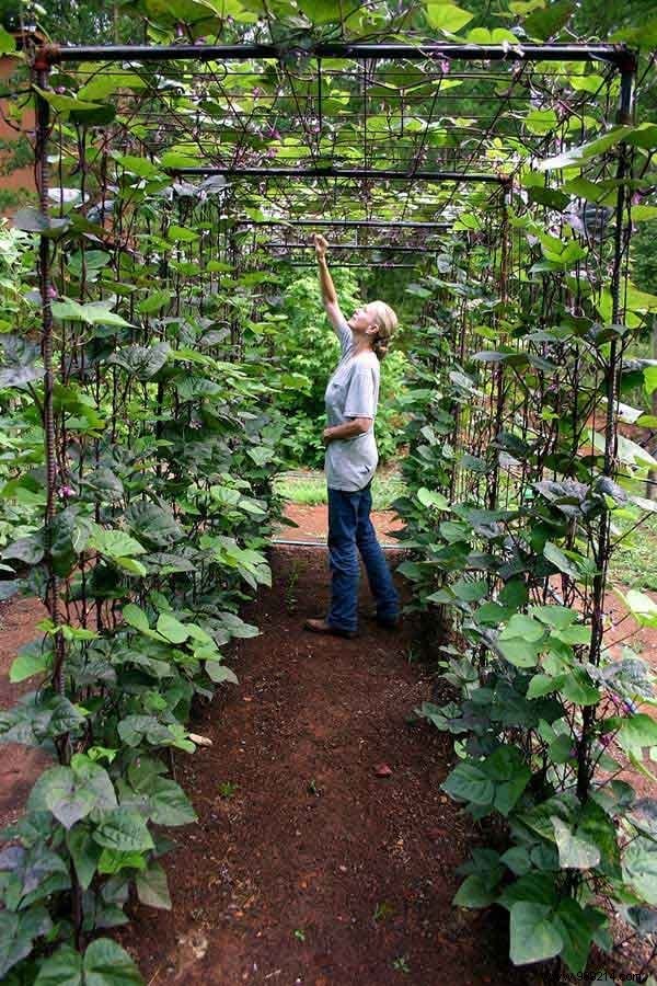 23 Proven Space-Saving Tips for Your First Successful Vegetable Garden