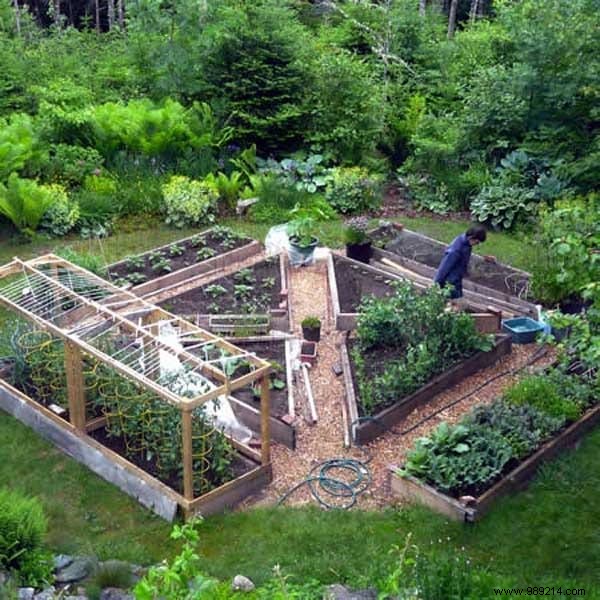 23 Proven Space-Saving Tips for Your First Successful Vegetable Garden