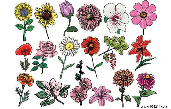 Why You Should Plant Flowers in Your Vegetable Garden: Boost Yields and Health with Companion Planting