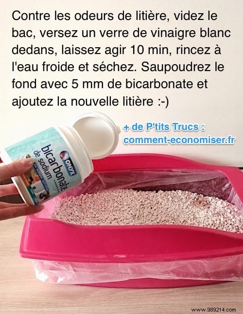 Eliminate Litter Box Odors for Good: Proven Baking Soda and Vinegar Method