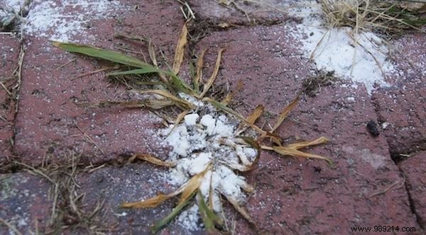 70 Time-Tested Table Salt Hacks for Cooking, Cleaning, and Home Care