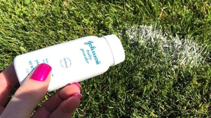 9 Proven Ways Talcum Powder Transforms Your Garden