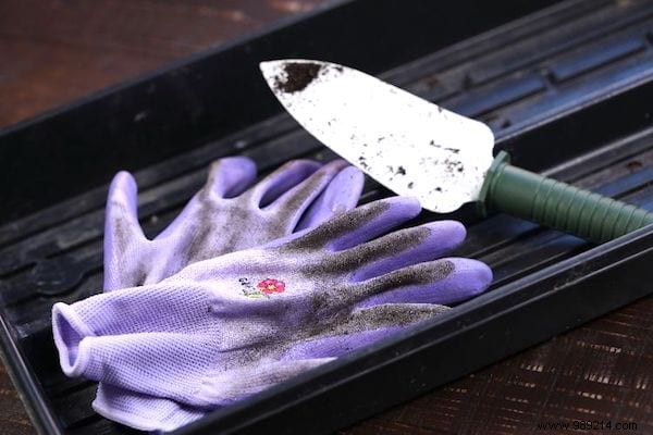 9 Proven Ways Talcum Powder Transforms Your Garden