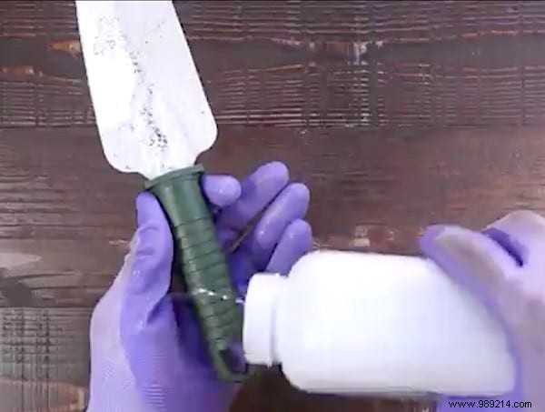 9 Proven Ways Talcum Powder Transforms Your Garden