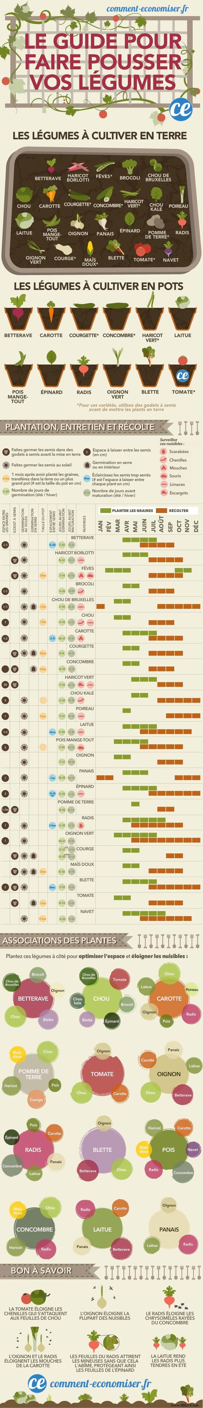 Ultimate Guide to Growing Vegetables: Expert Planting, Care, and Harvest Tips