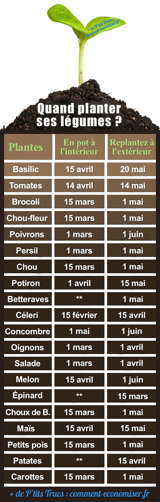 Vegetable Planting Calendar: Expert Timing for a Bountiful Garden