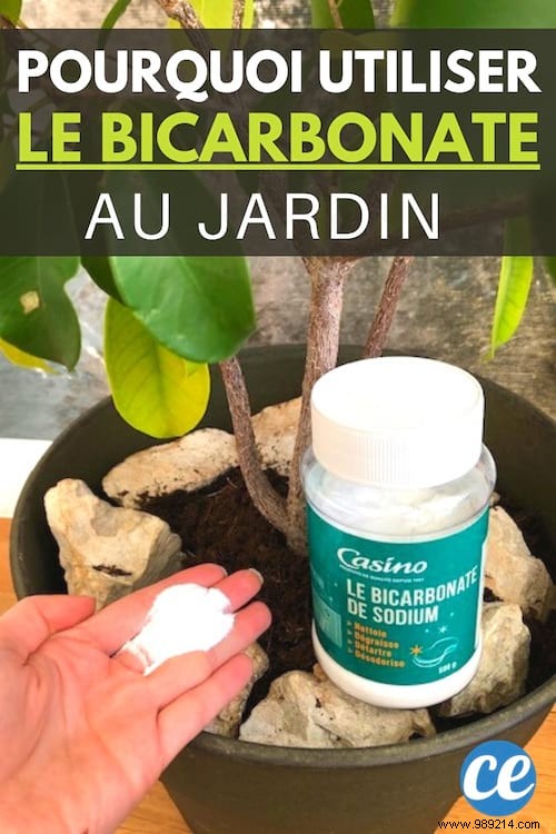 12 Proven Baking Soda Uses for a Healthier Garden