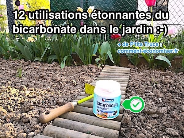 12 Proven Baking Soda Uses for a Healthier Garden