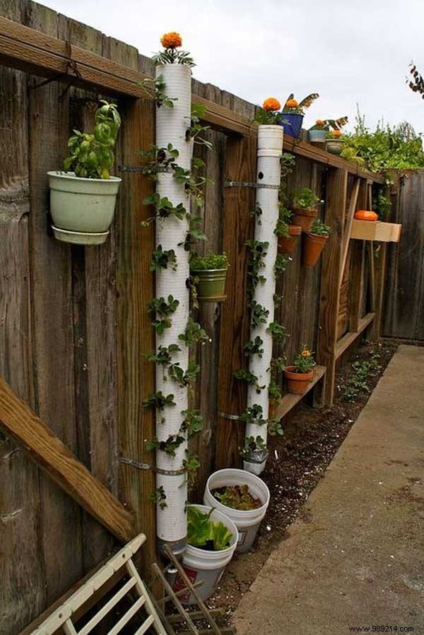 20 Genius Ways to Repurpose PVC Pipes in Your Garden