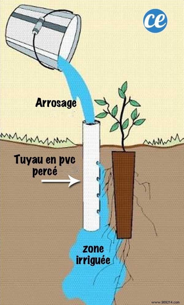 20 Genius Ways to Repurpose PVC Pipes in Your Garden