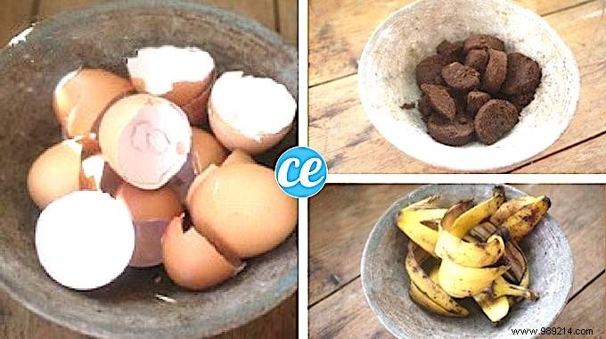 Fertilize Your Vegetable Garden Soil Naturally with Kitchen Scraps – No Compost Bin Required