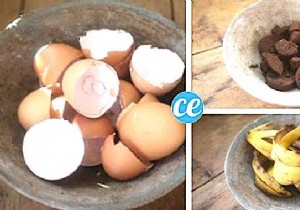 Fertilize Your Vegetable Garden Soil Naturally with Kitchen Scraps – No Compost Bin Required