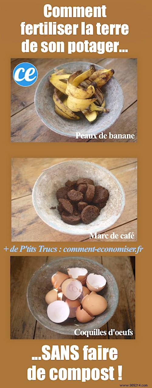 Fertilize Your Vegetable Garden Soil Naturally with Kitchen Scraps – No Compost Bin Required