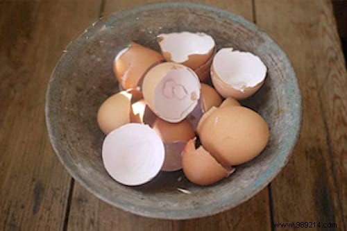 Fertilize Your Vegetable Garden Soil Naturally with Kitchen Scraps – No Compost Bin Required