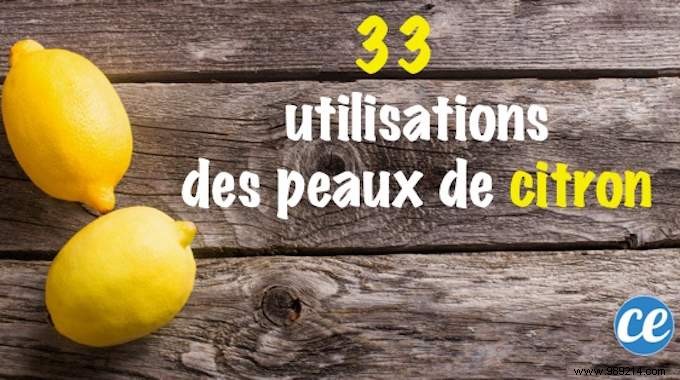 33 Proven Uses for Lemon Peels: Transform Waste into Kitchen, Cleaning, and Beauty Essentials