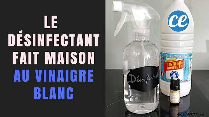 Ditch Bleach: Homemade White Vinegar Disinfectant for Spotless Toilets