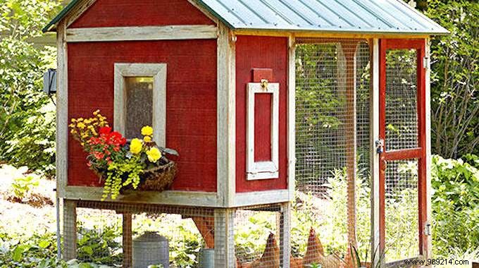 Building Your First Chicken Coop: Essential Beginner s Guide