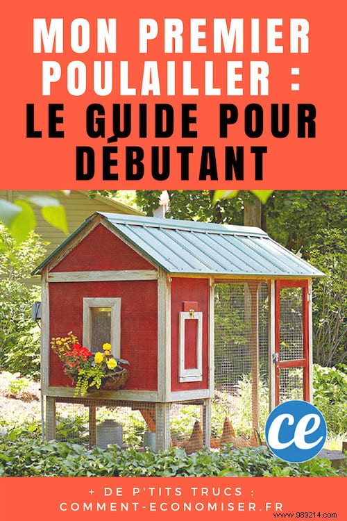 Building Your First Chicken Coop: Essential Beginner s Guide