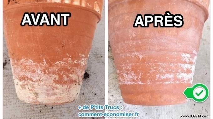 How to Easily Remove White Streaks from Flower Pots Using White Vinegar