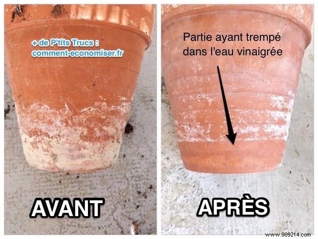 How to Easily Remove White Streaks from Flower Pots Using White Vinegar
