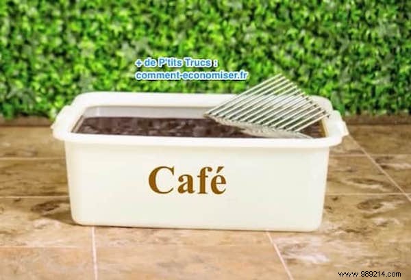 14 Proven Tips for Hosting a Perfect Backyard Barbecue