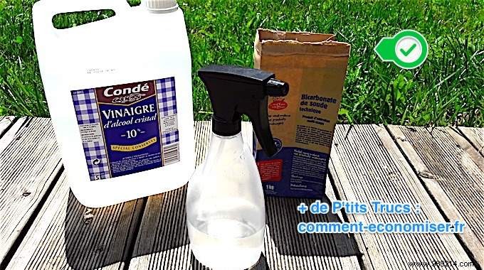 Eliminate Ant Hills Naturally: 2 Proven White Vinegar Methods