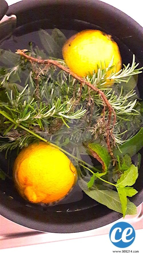 3 Easy Homemade Air Freshener Recipes for a Fresh, Chemical-Free Home