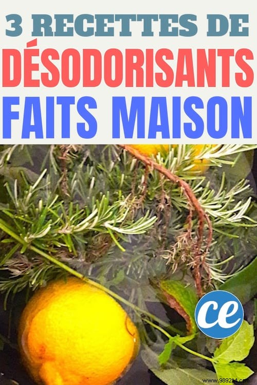 3 Easy Homemade Air Freshener Recipes for a Fresh, Chemical-Free Home