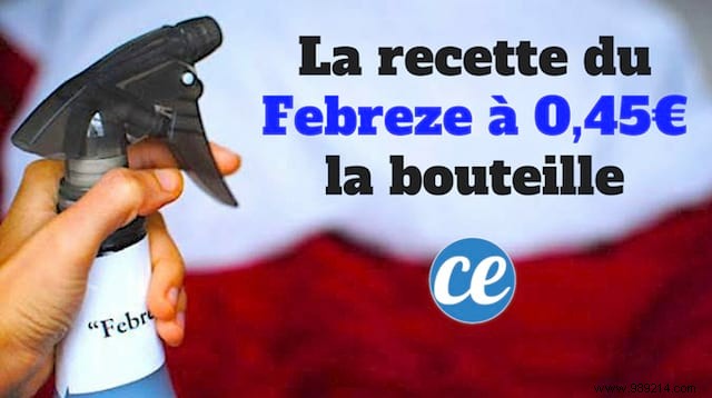 Proven Homemade Febreze Recipe: Just €0.45 per Bottle for a Fresh, Toxin-Free Home