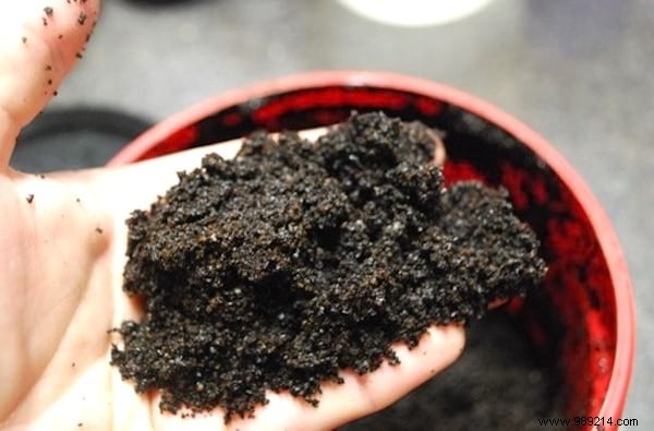 10 Proven Ways to Repurpose Coffee Grounds in Your Garden for Better Soil and Plants