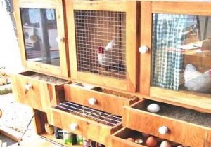 25 Ingenious DIY Chicken Coop Ideas Using Recycled Materials