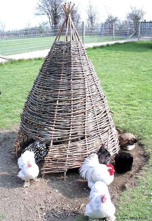 25 Ingenious DIY Chicken Coop Ideas Using Recycled Materials